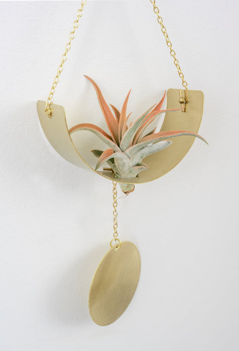 Airplant Wall Hanging -Brass